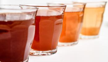 Team Smartfood R&D welcomes Food Engineer Nienke Köllmann 